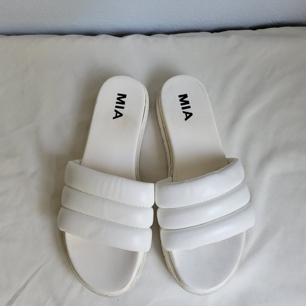 MIA Slides - Picture 2 of 3